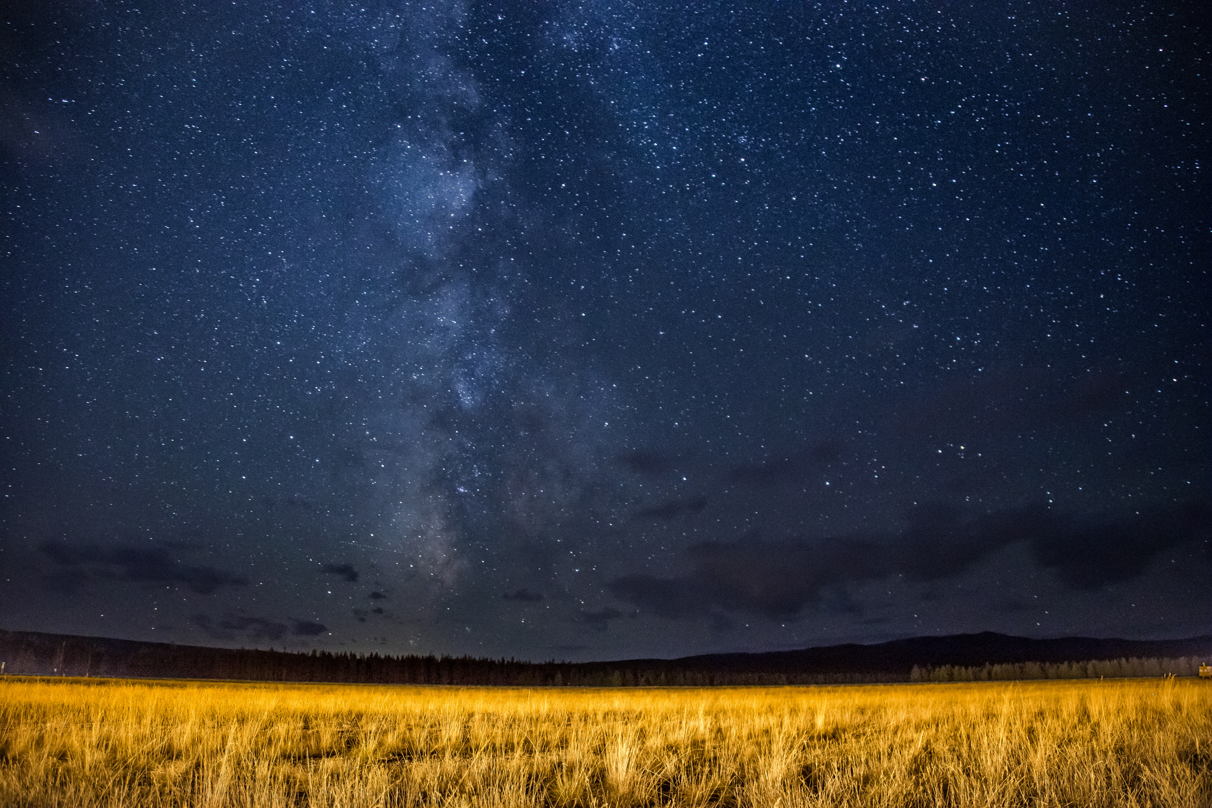 JASON SPETH LANDSCAPE 28